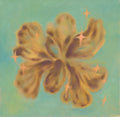 Jade Hibiscus